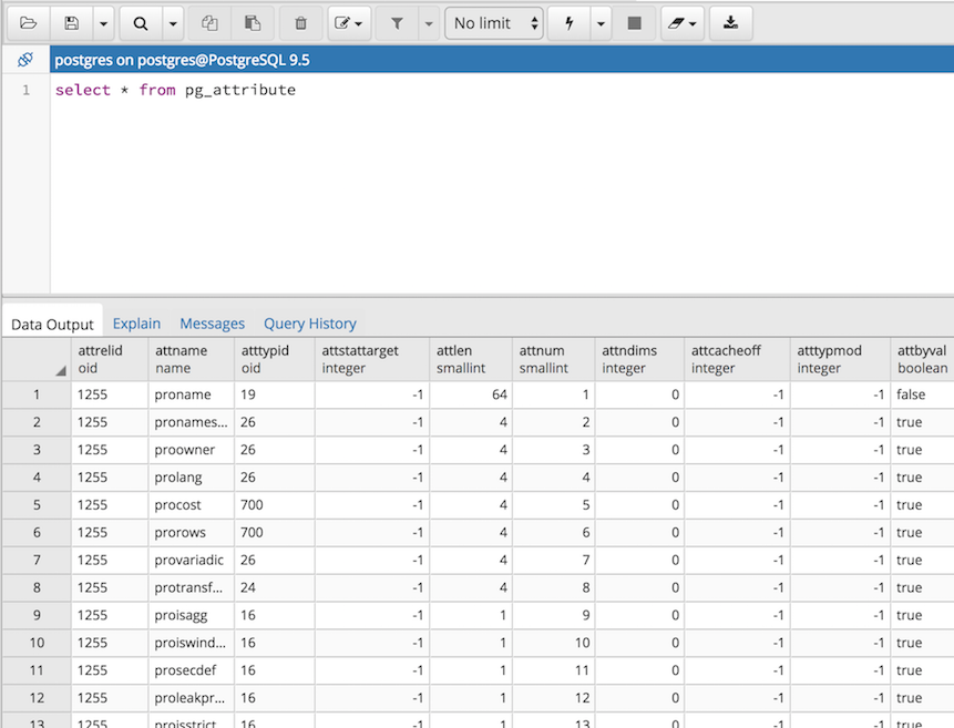 Query tool window